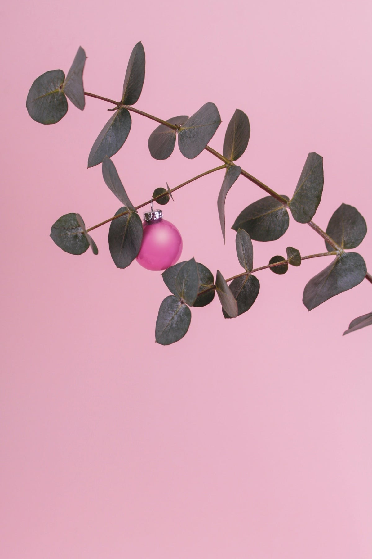 Can glass baubles only be hung on a Christmas tree?