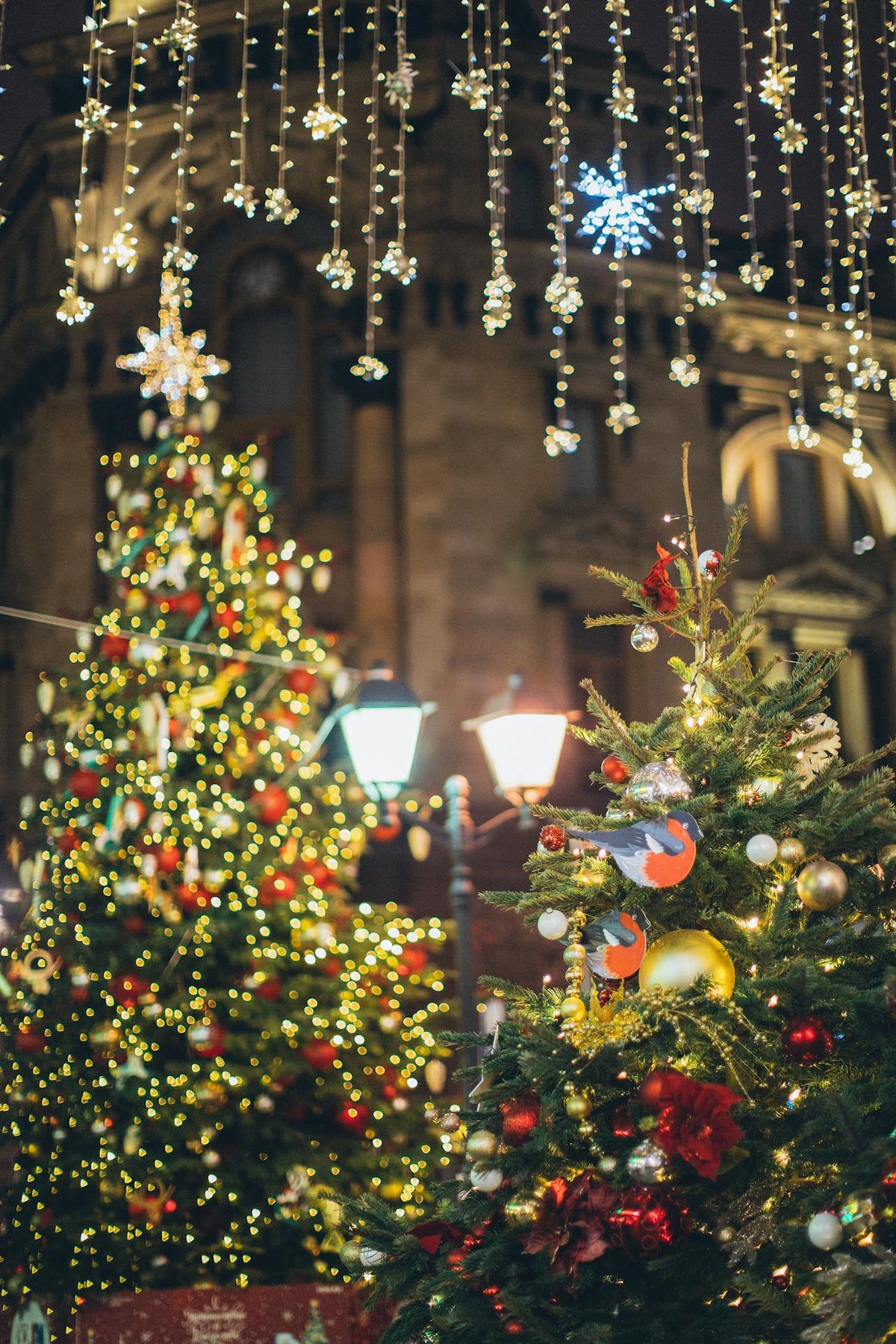 How to Choose Christmas Lights for Your Tree