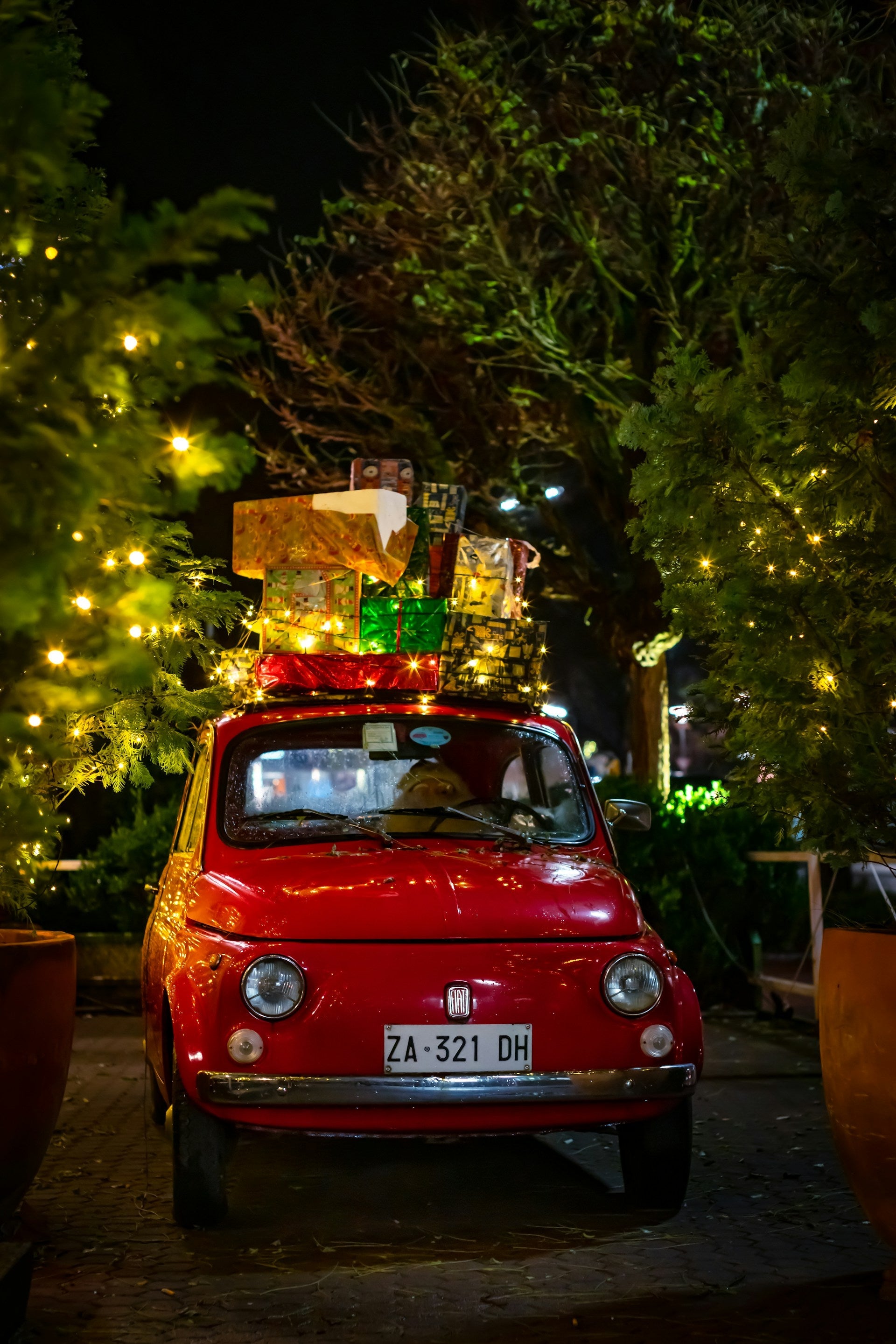 Unusual ideas for spending Christmas holidays